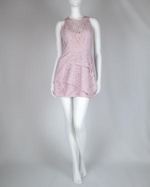 Hanah Lace Mini Dress Size 2